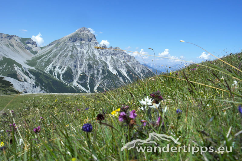 Blaser - Nordtirol