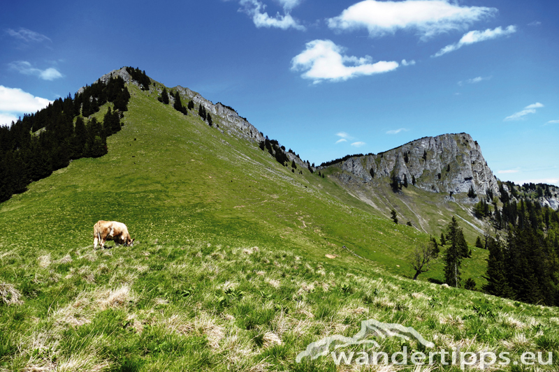 Proles - Steiermark