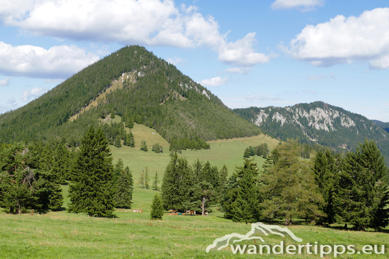 Schober und Öhler - Niederösterreich