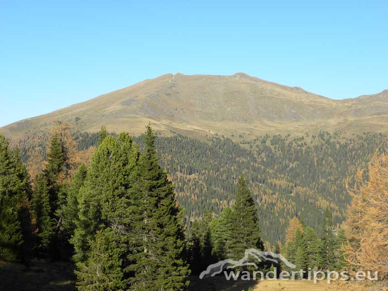 Eisenhut - Steiermark