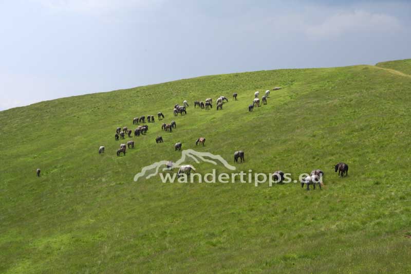 Gleinalm - Steiermark