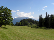Obersberg Abbildung 11