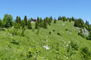 Obersberg Abbildung 5
