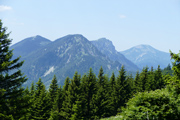 Obersberg Abbildung 10