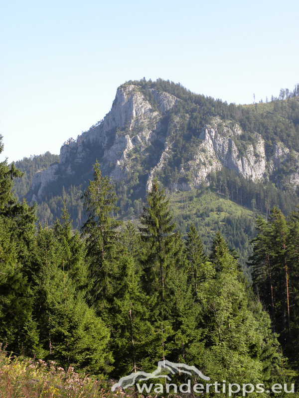Obersberg Abbildung 3