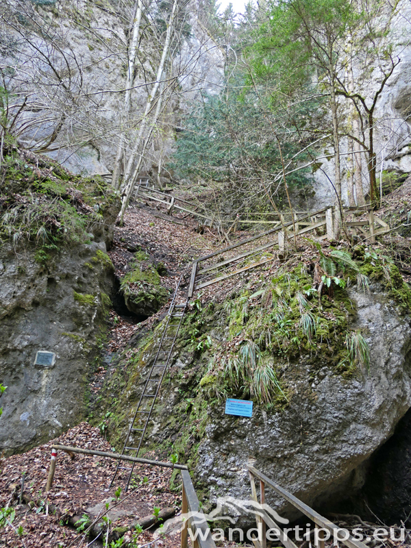 Almesbrunnberg Abbildung 6