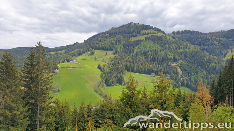 Plankogel von Norden Abbildung 17