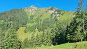 Wildfeld/Lamingegg Abbildung 7