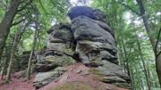 Ruine Aggstein/Prinz-Schönburg-Felsen Abbildung 11