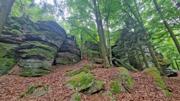 Ruine Aggstein/Prinz-Schönburg-Felsen Abbildung 12