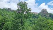 Ruine Aggstein/Prinz-Schönburg-Felsen Abbildung 18