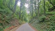 Ruine Aggstein/Prinz-Schönburg-Felsen Abbildung 20