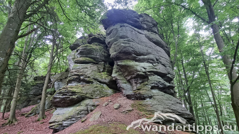 Ruine Aggstein/Prinz-Schönburg-Felsen Abbildung 11