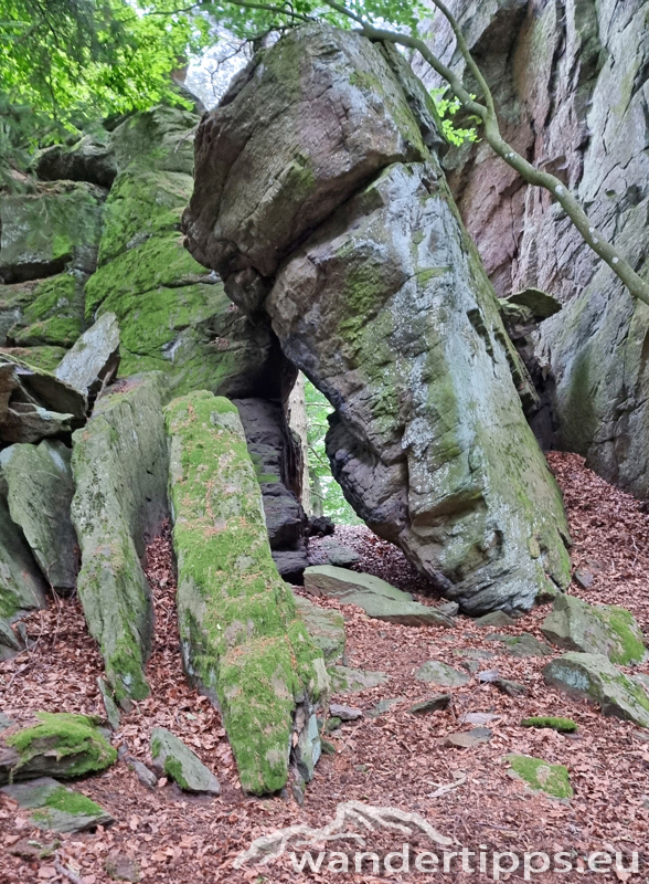 Ruine Aggstein/Prinz-Schönburg-Felsen Abbildung 13