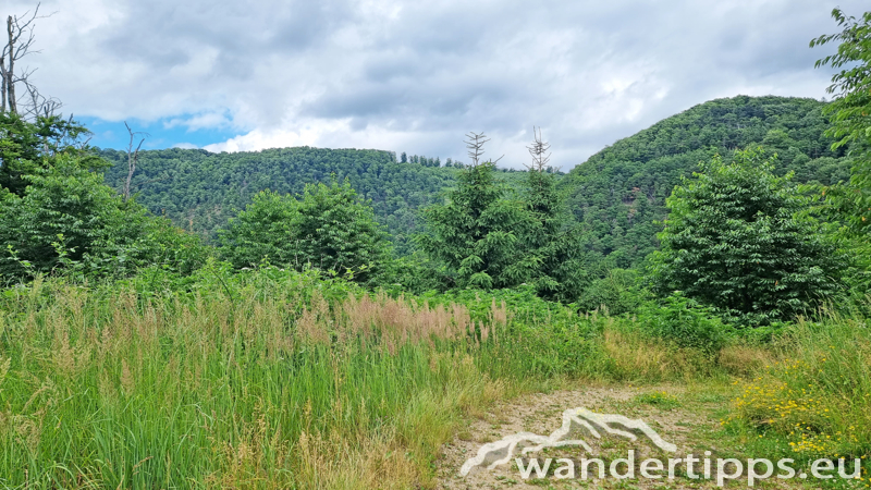 Ruine Aggstein/Prinz-Schönburg-Felsen Abbildung 17