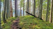 Hirschkogel/Amstettner Hütte Abbildung 13