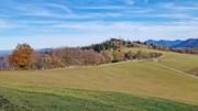 Frankenfelsberg/Rotenstein Abbildung 15