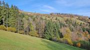 Frankenfelsberg/Rotenstein Abbildung 8