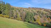 Frankenfelsberg/Rotenstein Abbildung 8