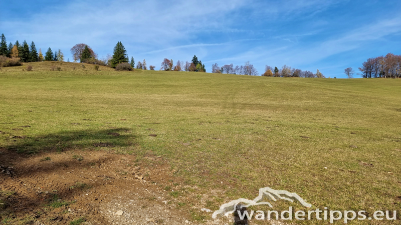 Frankenfelsberg/Rotenstein Abbildung 10