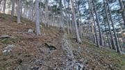 Kienberg/Fischauer Berge Abbildung 6