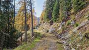 Gastlbachtal Abbildung 9