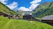 Edelweißwiese/Äußere Steiner Alm Abbildung 20