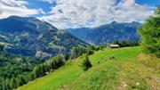 Edelweißwiese/Äußere Steiner Alm Abbildung 24