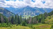 Edelweißwiese/Äußere Steiner Alm Abbildung 25