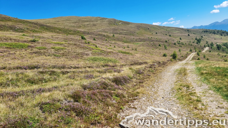 Stubeck Abbildung 22