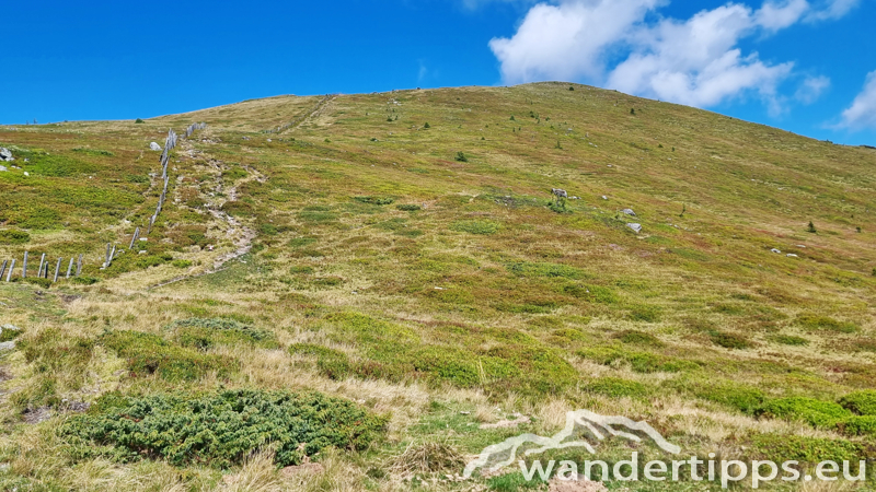 Teuerlnock Abbildung 16