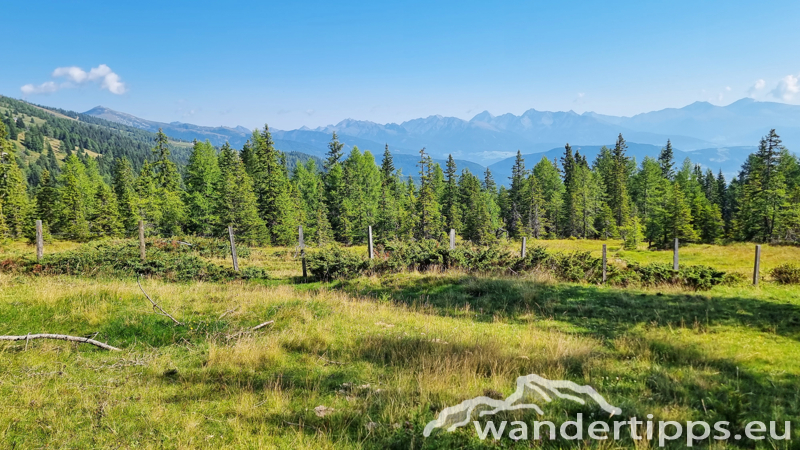 Teuerlnock Abbildung 9