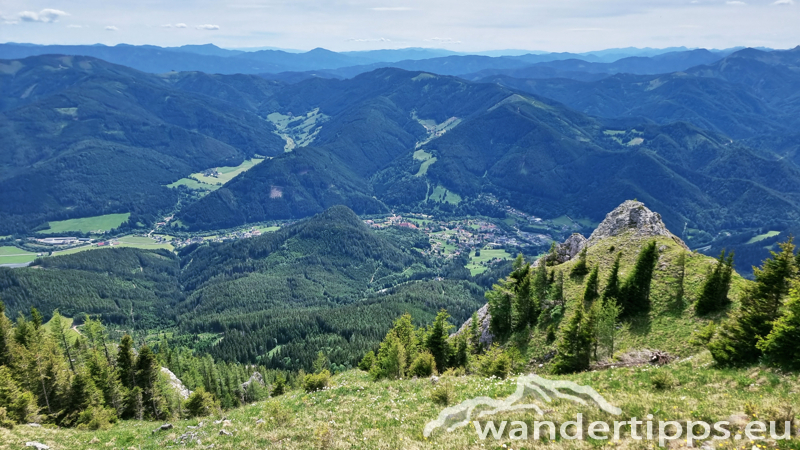 Windberg von Westen/Knopperwiese Abbildung 28