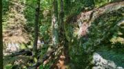 Ysperklamm/Kaltenberg Abbildung 4