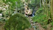Ysperklamm/Kaltenberg Abbildung 6