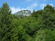 Lohnspitze / Äußere Gamp Alpe Abbildung 2