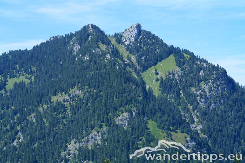 Lohnspitze / Äußere Gamp Alpe Abbildung 12